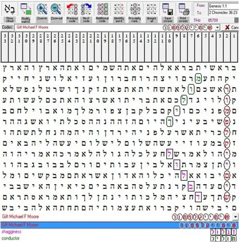 Torah Code matrix: Michael F Moore