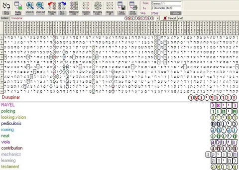 Torah Code matrix: Durupinar
