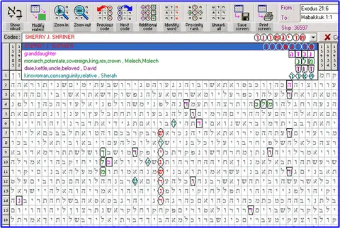 Torah Code matrix: sherry26
