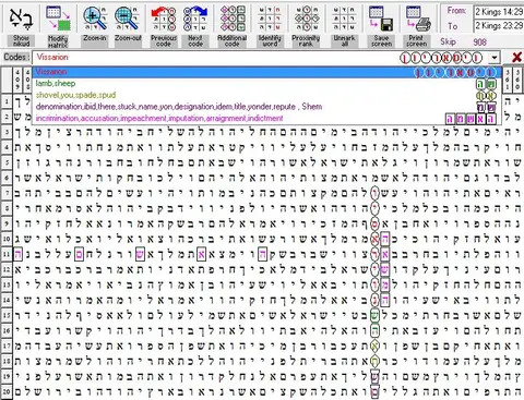 Torah Code matrix: Vissarion