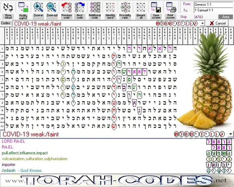 Torah Code matrix: Corona Virus 19