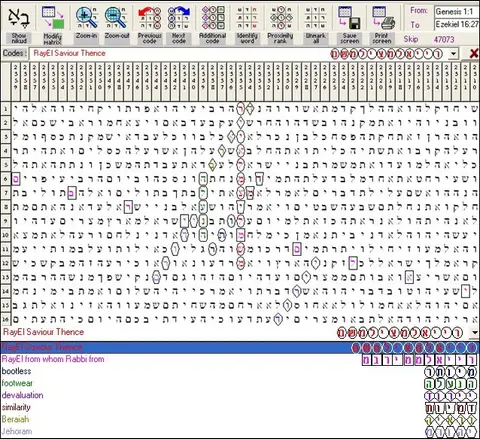 Torah Code matrix: RayEl Saviour