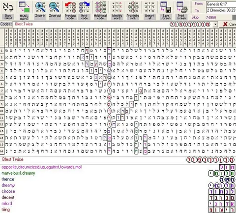 Torah Code matrix: Blest Twice