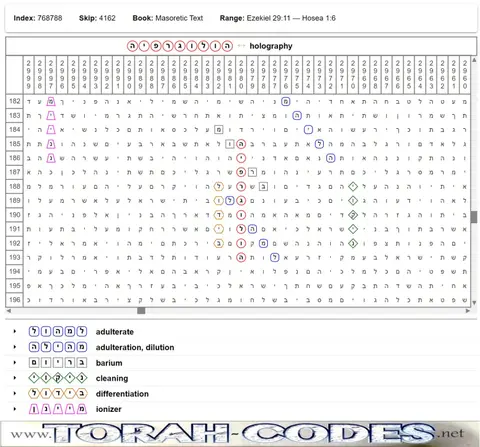 Torah Code matrix: Holography