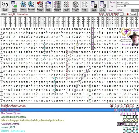 Torah Code matrix: Insight