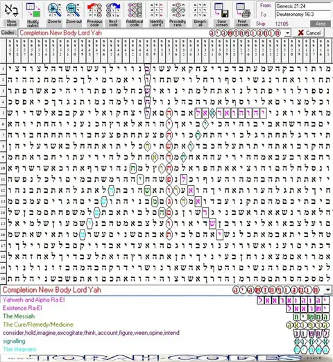Torah Code matrix: New Body