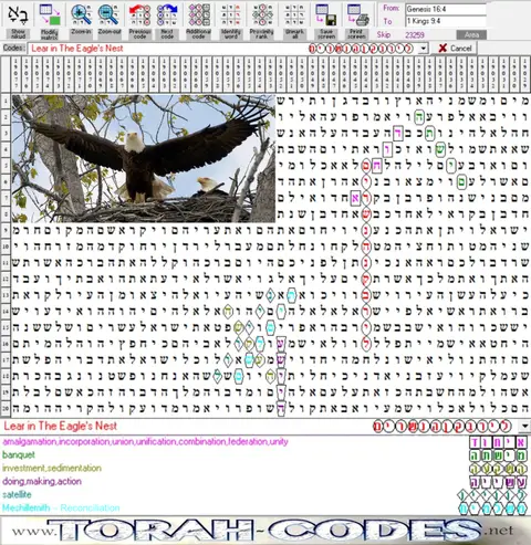 Torah Code matrix: The Eagle's Nest