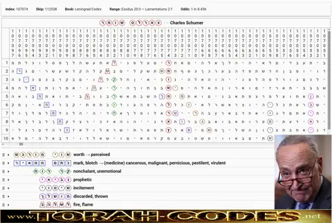 Torah Code matrix: Charles Schumer
