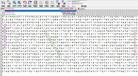 Torah Code matrix: Colleague Elijah