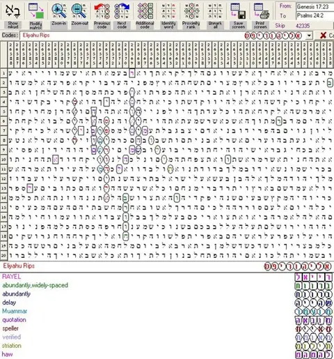 Torah Code matrix: Eliyahu Rips