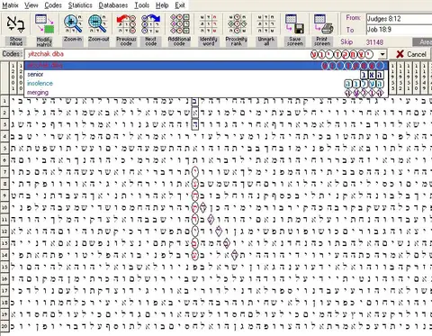Torah Code matrix: Isaac Diba2
